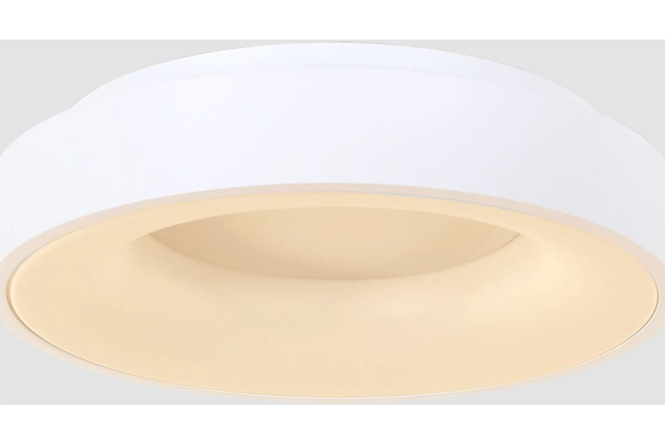 Plafondlamp 2563W Ringlede