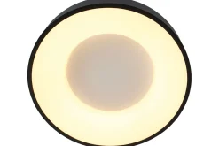 Plafondlamp 2562ZW Ringlede