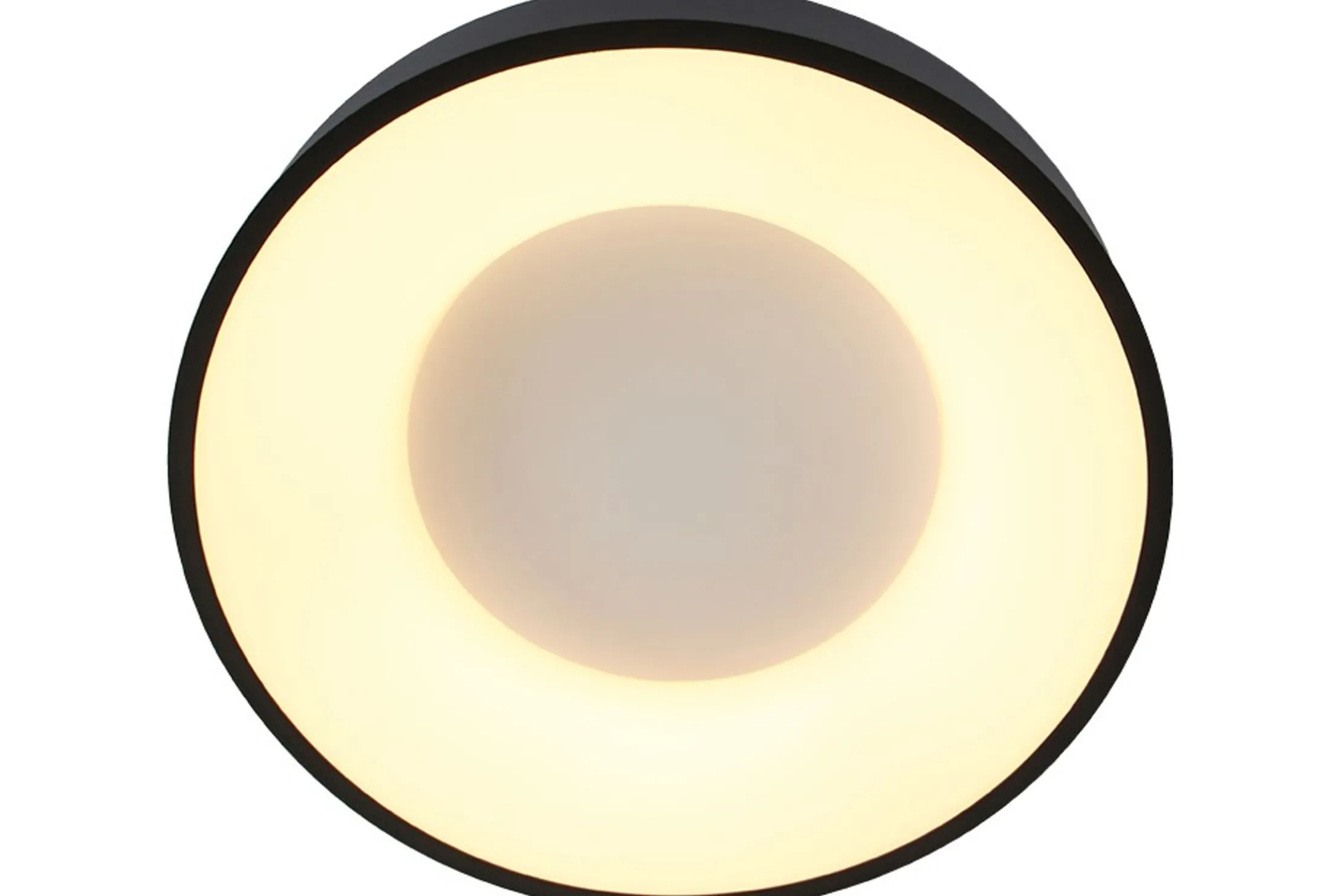Plafondlamp 2562ZW Ringlede