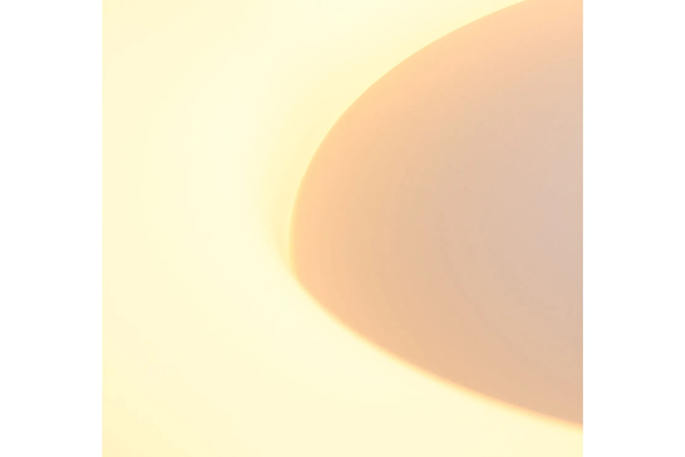 Plafondlamp 2562ZW Ringlede