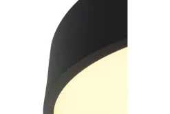 Plafondlamp 2562ZW Ringlede