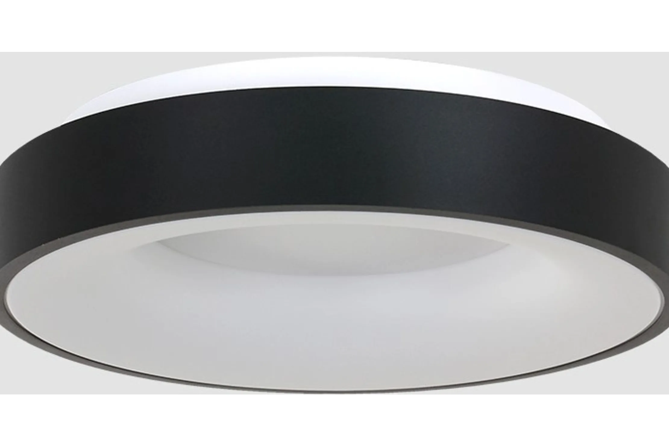 Plafondlamp 2562ZW Ringlede
