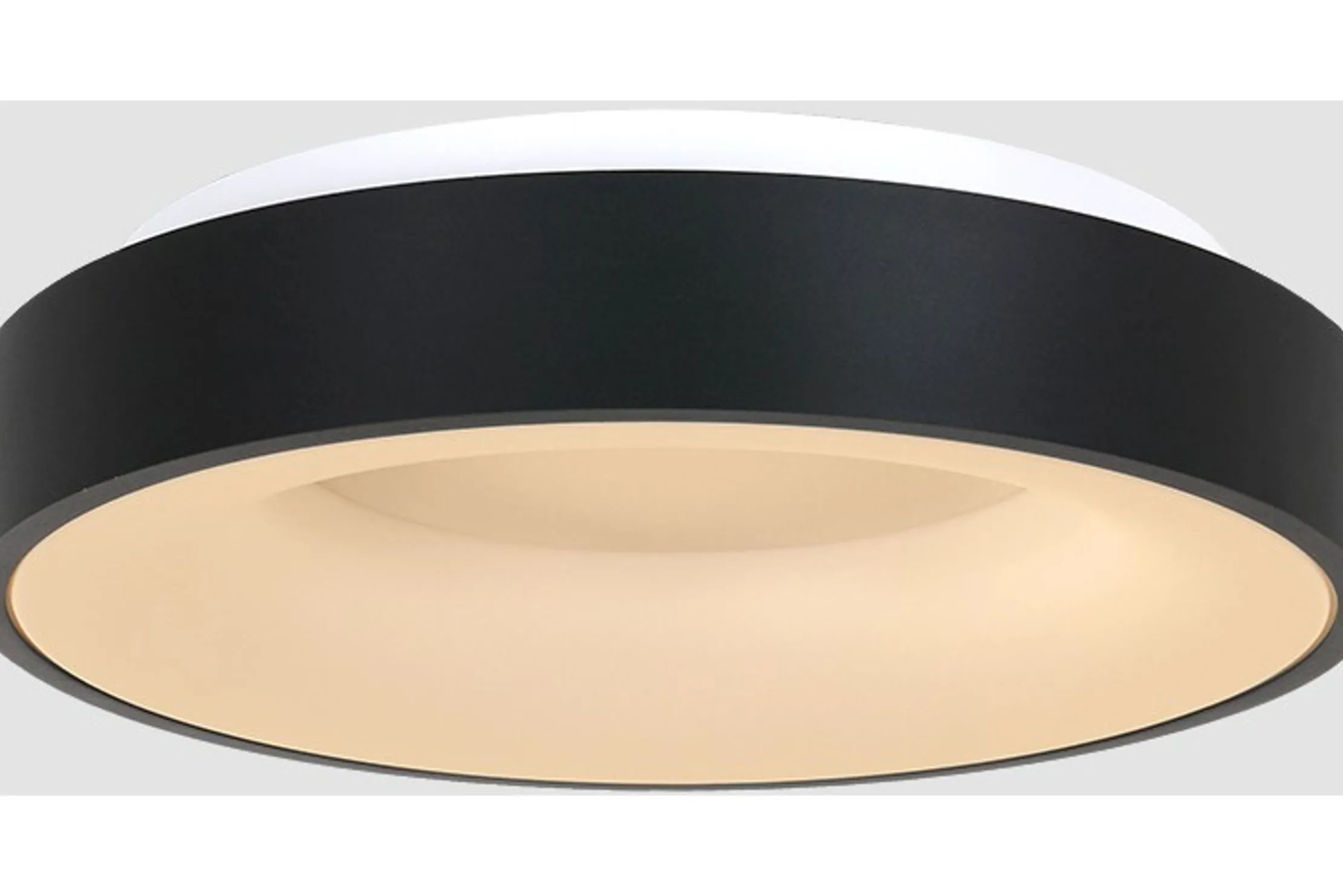 Plafondlamp 2562ZW Ringlede
