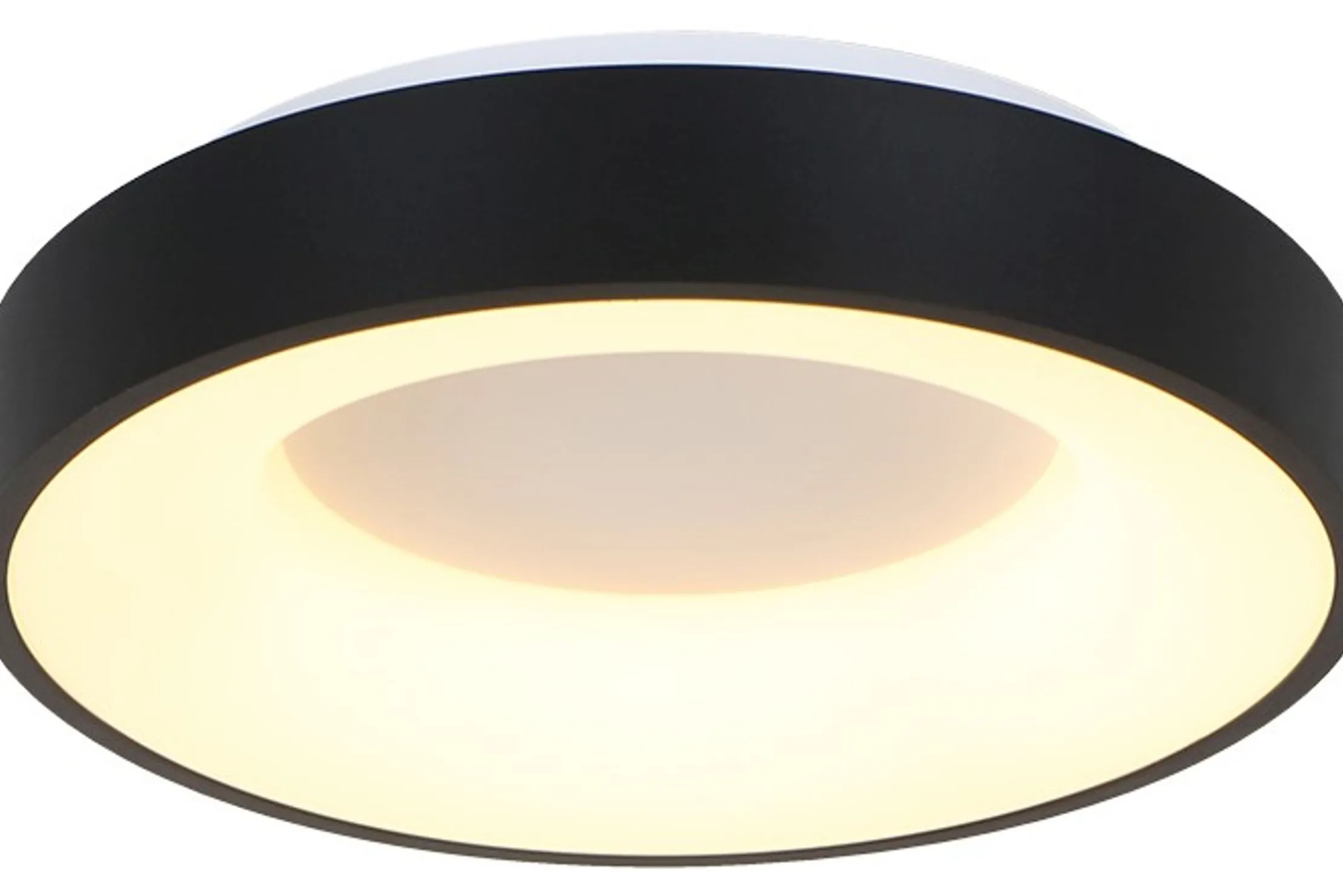 Plafondlamp 2562ZW Ringlede