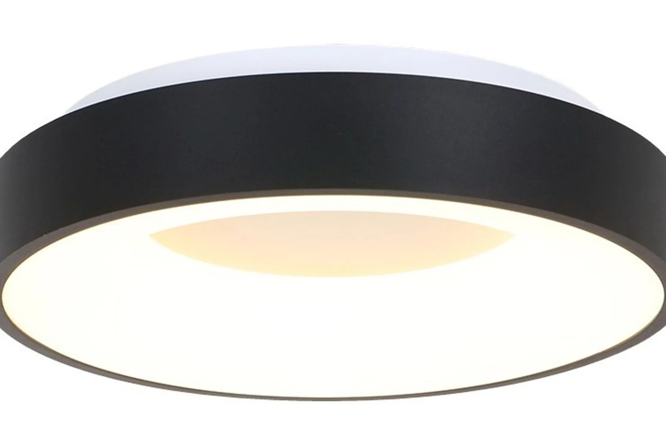 Plafondlamp 2562ZW Ringlede