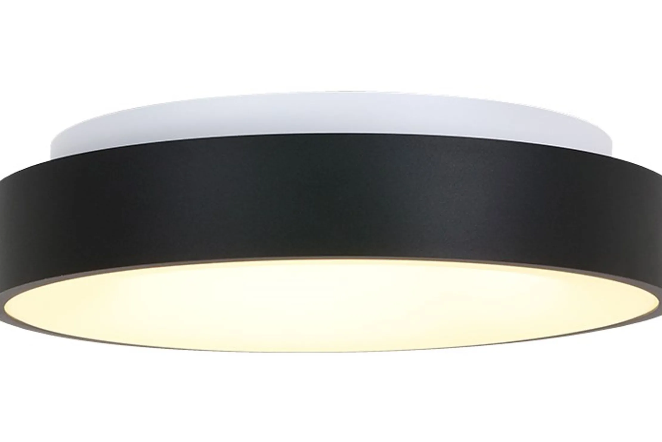 Plafondlamp 2562ZW Ringlede