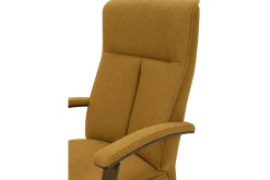 Relaxfauteuil Tarida