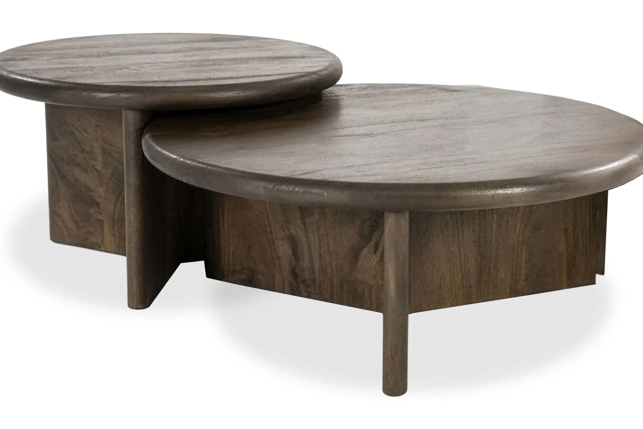 Salontafelset bruin Leoti