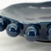 Schaal Blue 240214 Viro