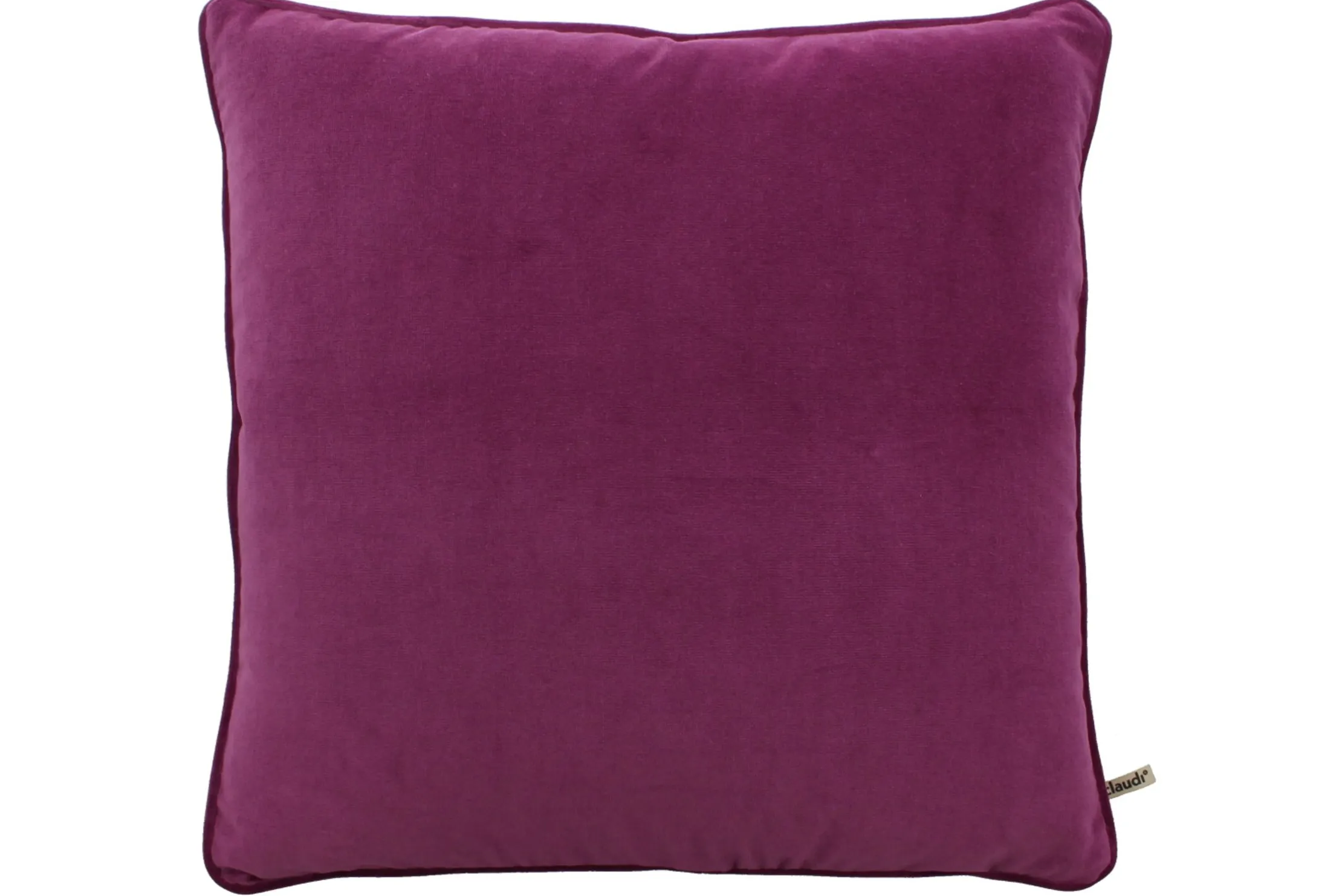 Sierkussen Lilac + Piping Scott | Claudi