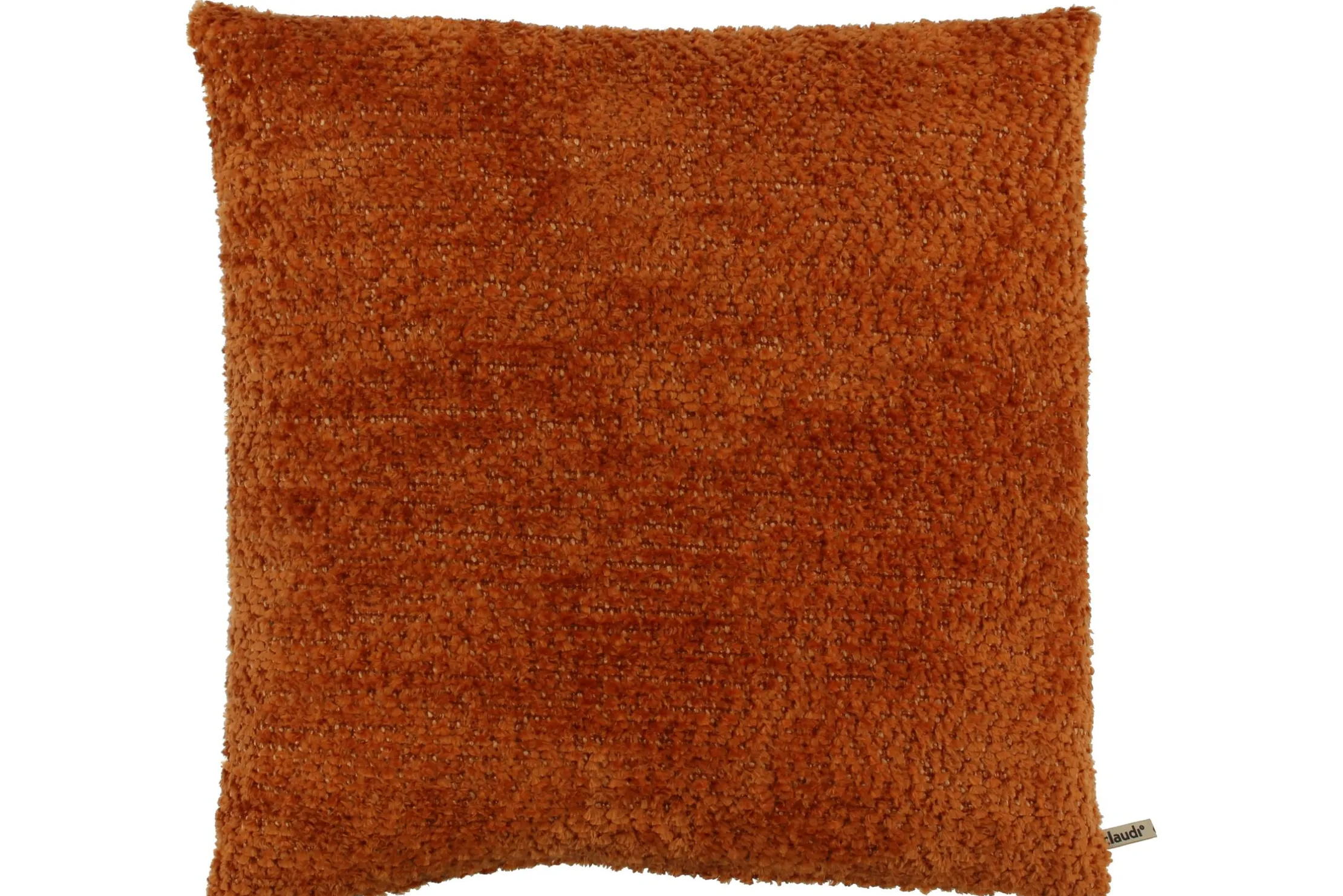 Sierkussen Orange Lovely | Claudi