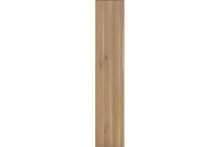 Vitrinekast Established