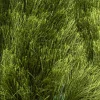 Vloerkleed 474 Arezzo CS | Brinker
