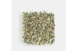 Vloerkleed Evergreen 59107 Spring | Brink & Campman