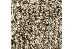 Vloerkleed Fresh Hay 59137 Spring | Brink & Campman