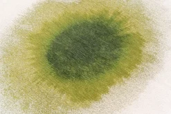 Vloerkleed Green Pepper 2105 Meditation Drop