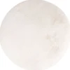 Vloerkleed Ivory rond Heat