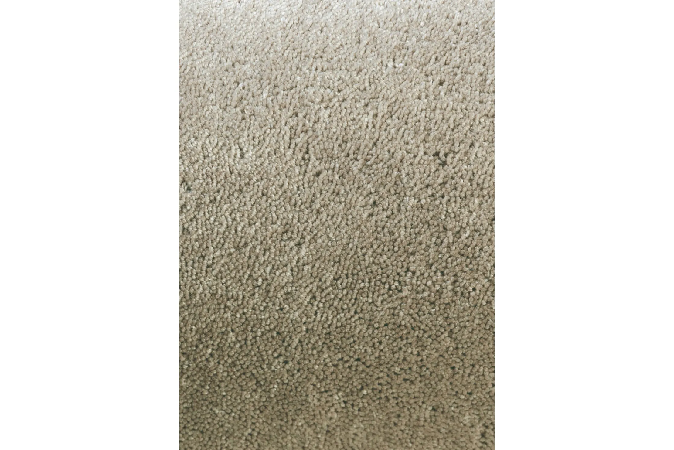 Vloerkleed Soft Taupe 21501 Twinset | Brink & Campman