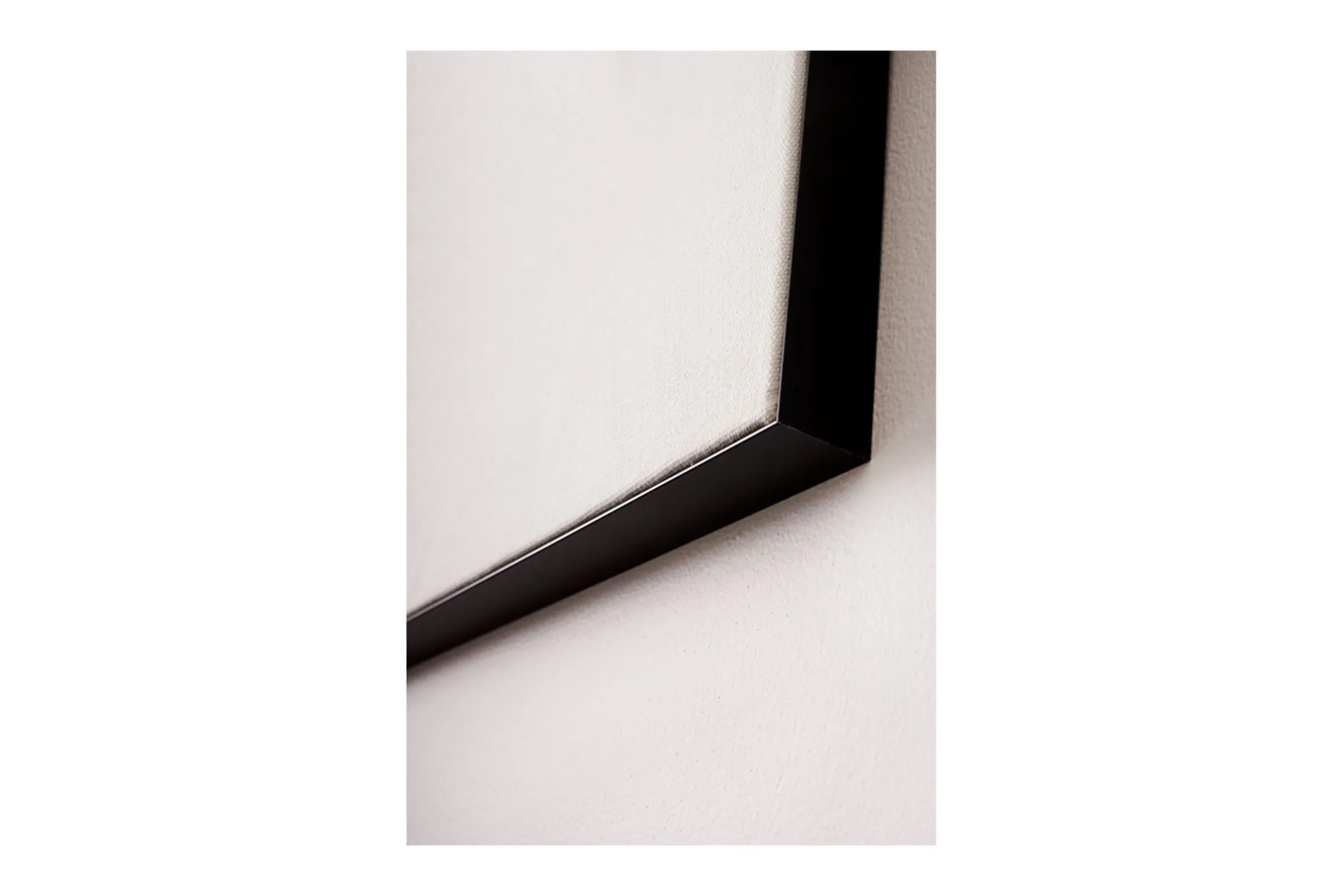 Wandkleed Birds - frame