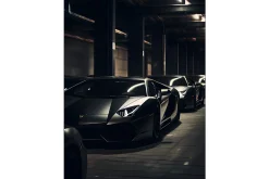 Wandkleed Luxury Drive