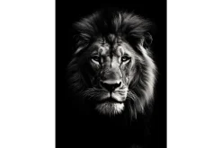 Wandkleed Mighty Lion