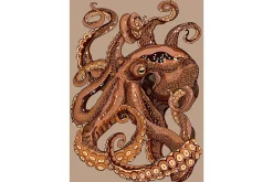 Wandkleed Pulpo